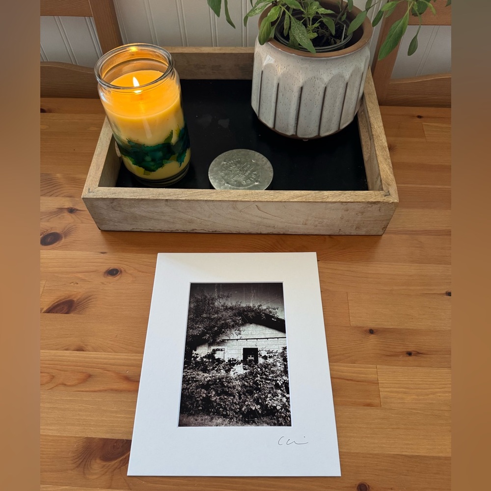 New Original Signed Photography